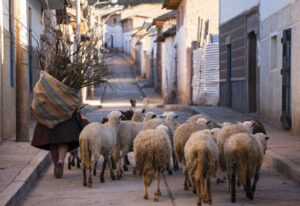 <em>La calle es para todos</em>