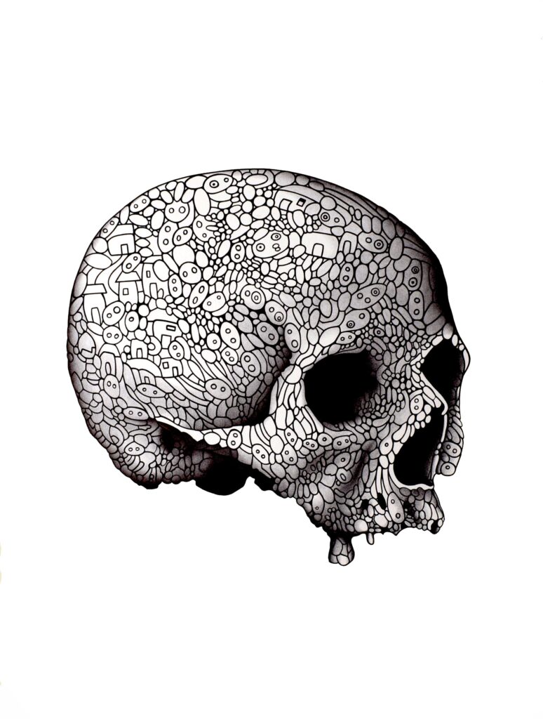 Skull #12